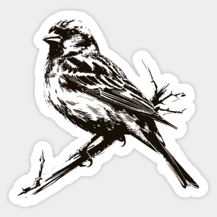 Hand drawn finch bird Sticker